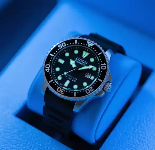 CITIZEN Promaster 專業潛水錶 NY0081-83E