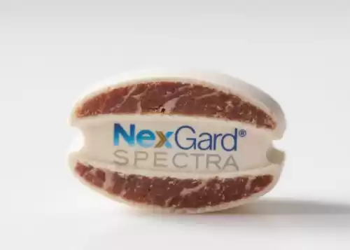 NexGard Spectra 口服除蚤藥