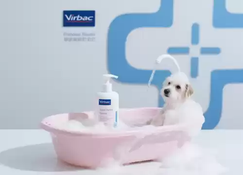 Virbac 除蚤洗毛精
