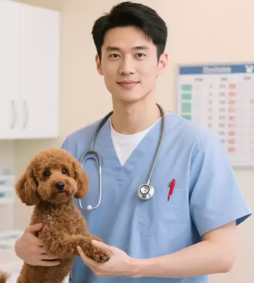 林柏宇
