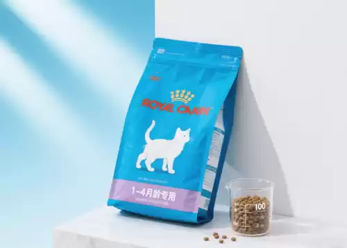 皇家 幼貓專用飼料