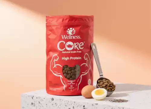 Wellness Core 幼貓無穀飼料