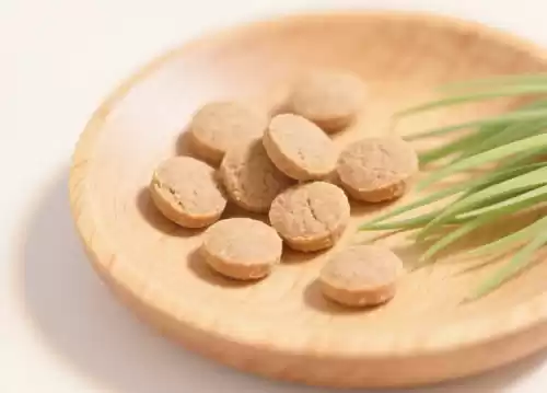 10大幼貓飼料推薦排行榜｜真人實測評比+選購全攻略