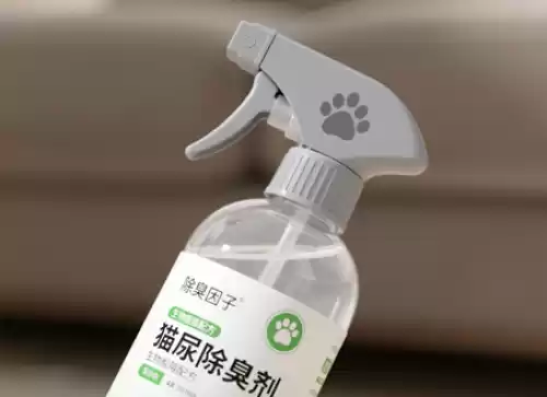 10大貓尿除臭推薦排行榜｜真人實測評比+選購全攻略